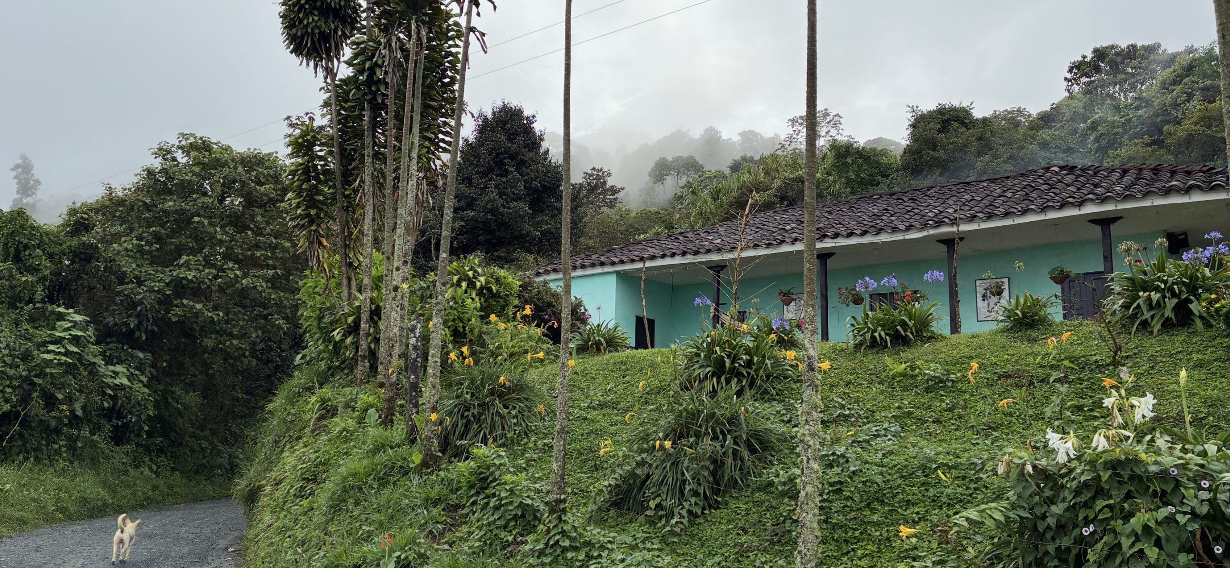 Traditional farmhouse in Cauca region